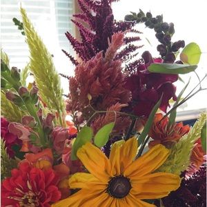 Meet your Posher, Sondra